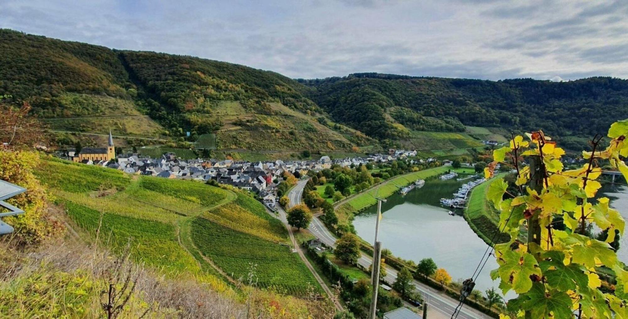 Ferienwohnung An Der Mosel, Romeo Senheim Exterior photo